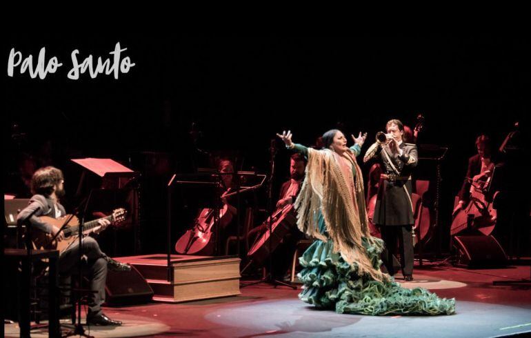 Momento del espectáculo "Palo Santo"