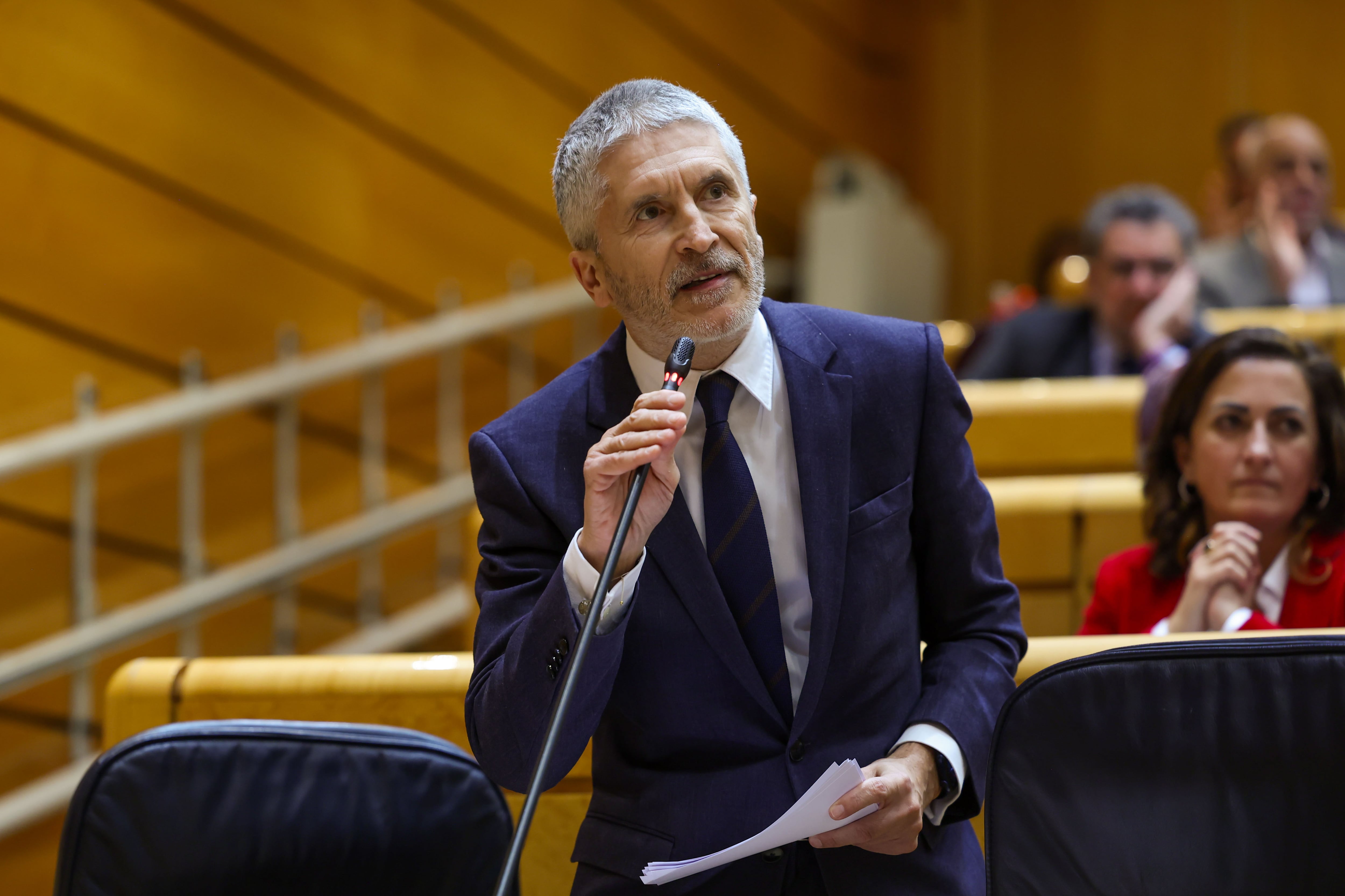 El ministro del Interior, Fernando Grande-Marlaska, interviene desde su escaño durante la sesión de control al Gobierno en el Senado