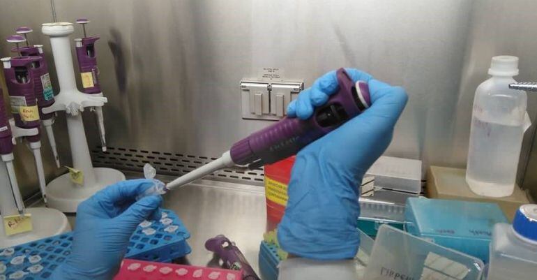 Vacunas preparadas en un centro sanitario.