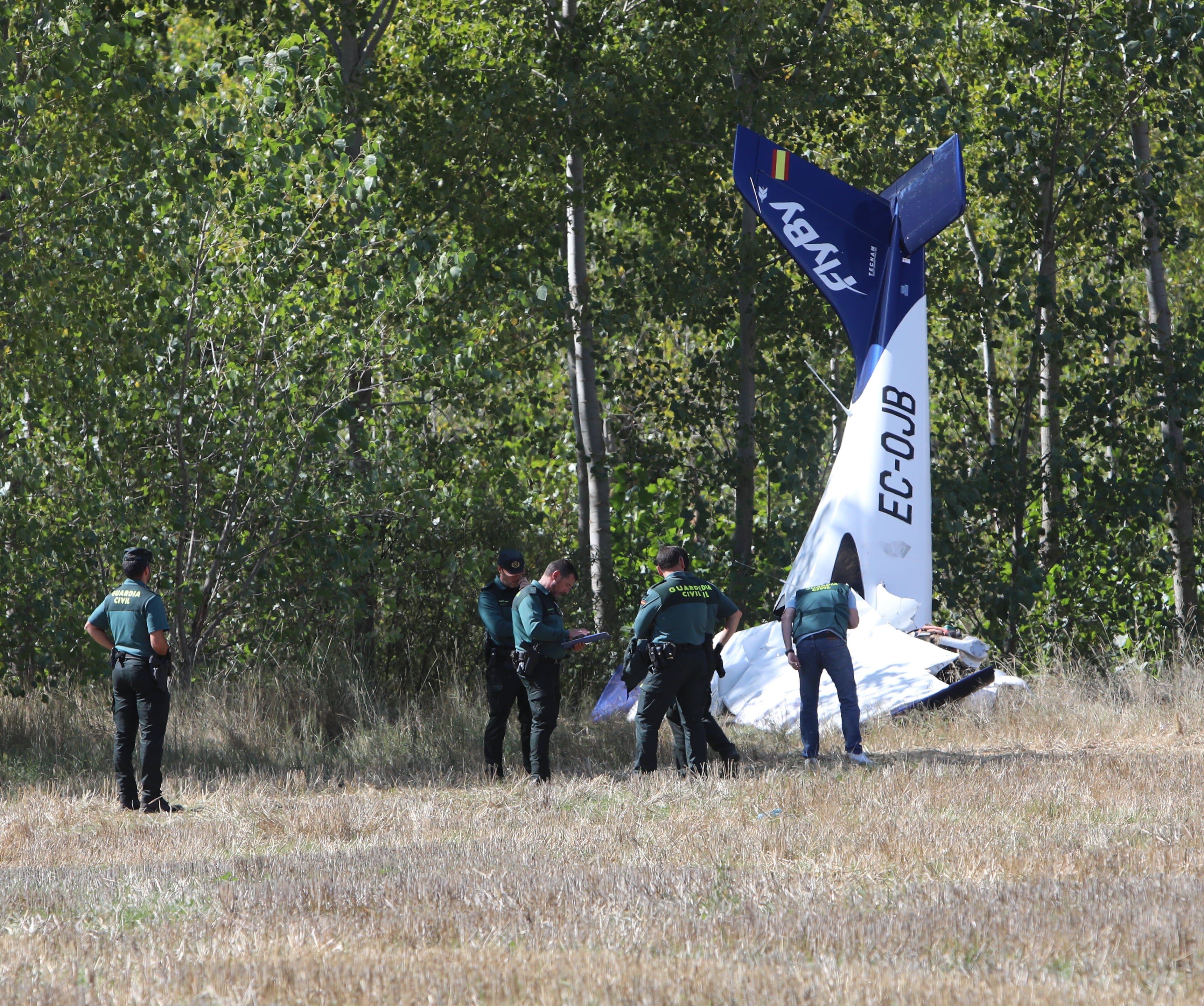 Un fallecido y un herido grave en el accidente de una avioneta en Abia de las Torres (Palencia), en la imagen la avioneta siniestrada