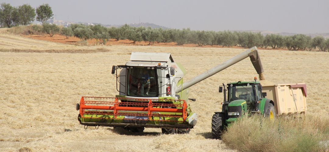 Cosechadora en el campo madrileño