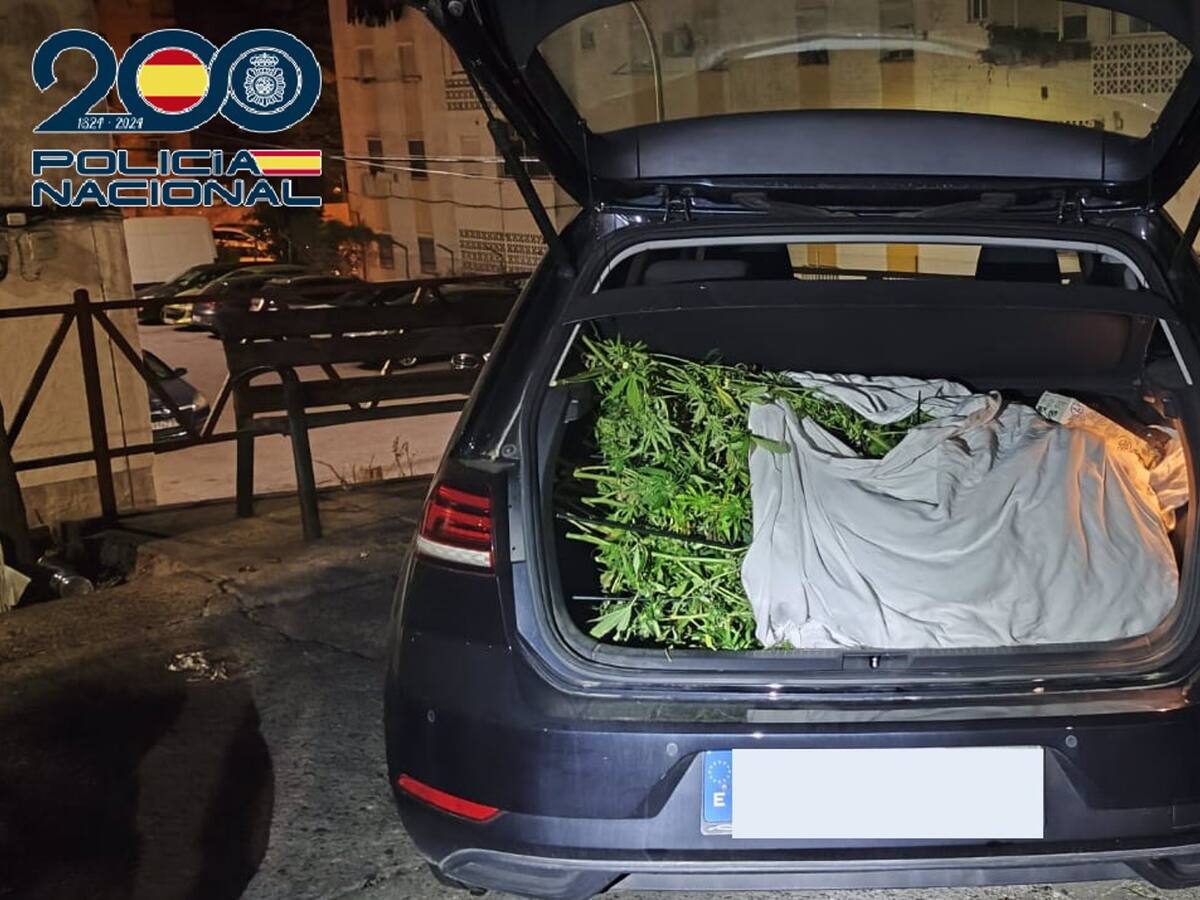 Detienen a dos hombres por asaltar una casa en Jerez para robar plantas de marihuana