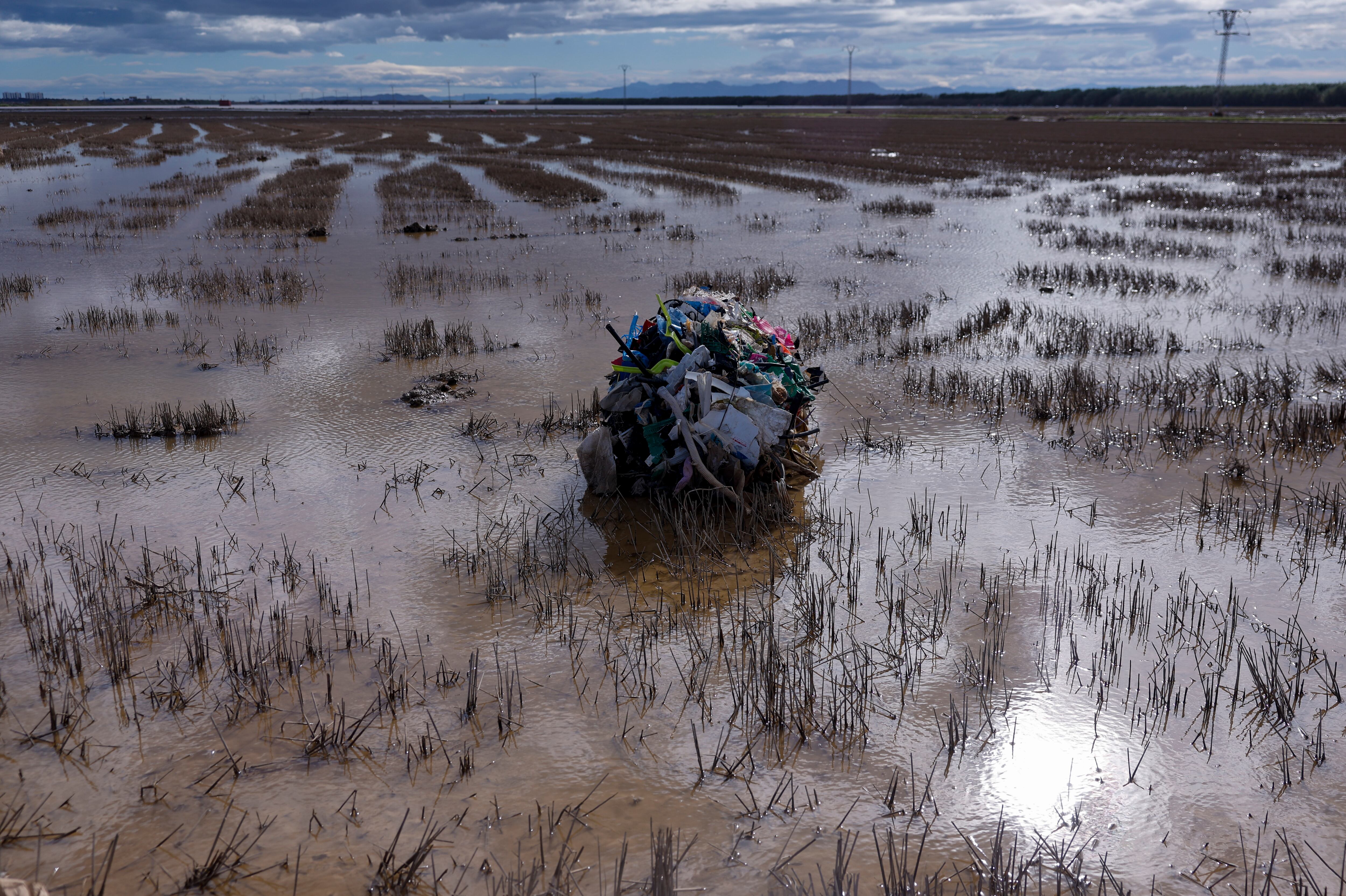 Detalle de la basura traída hasta los arrozales de La Albufera por la fuerza del agua de las inundaciones provocadas por la DANA del pasado 29 de octubre.