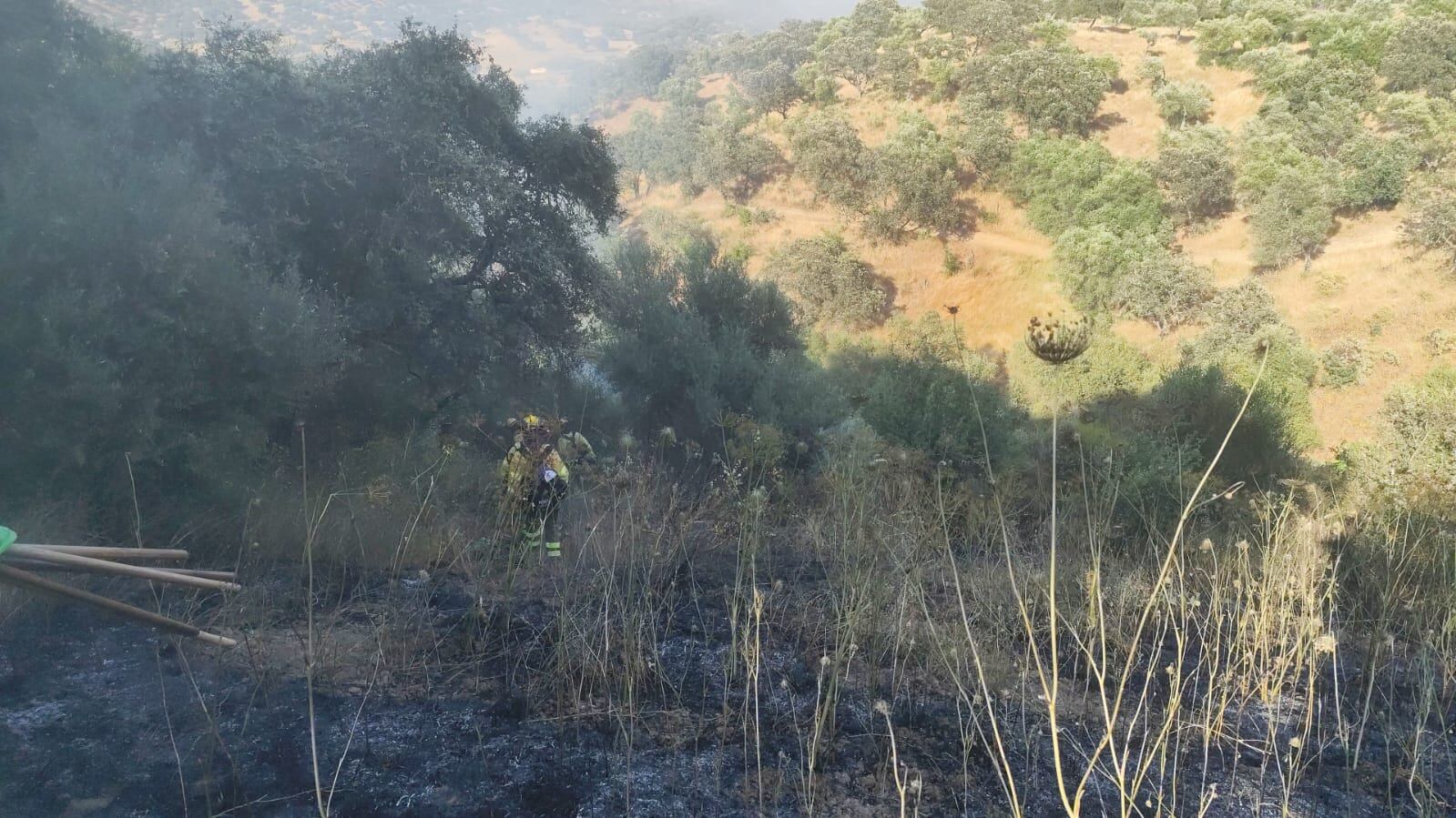 Paraje donde se ha declarado el incendio en Almodóvar (INFOCA)