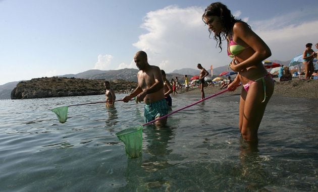 Bañistas en la playa de Salobreña (Granada), a la caza de medusas.