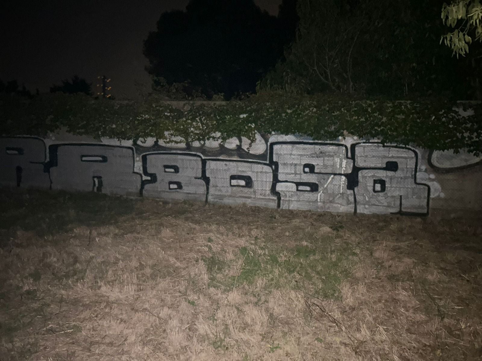 Un joven fue interceptado en Huesca tras realizar esta pintada