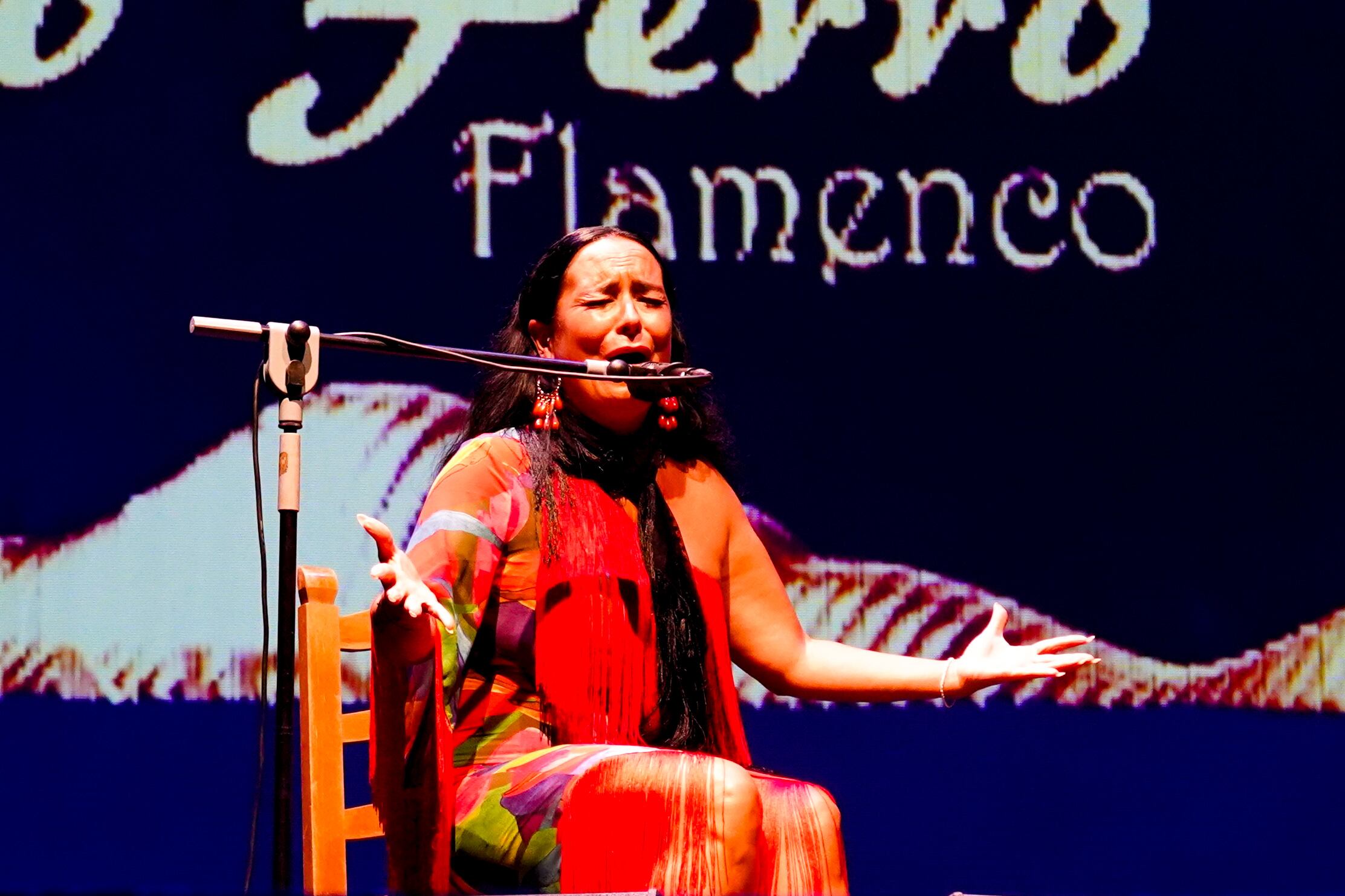 Primera semifinal del Festival Internacional de Cante Flamenco de Lo Ferro