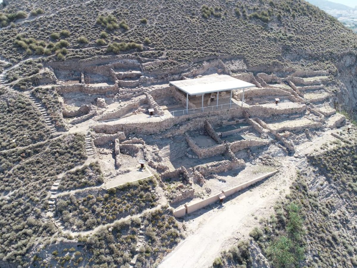 EL Museo de Villena realiza trabajos de mantenimiento y conservación en el yacimiento de Cabezo Redondo