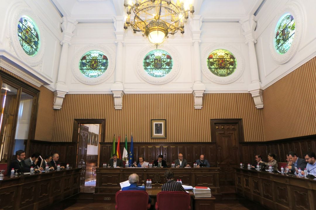 En el pleno de la Diputación Provincial se ha debatido la moción socialista para posicionarse contra las macrogranjas porcinas