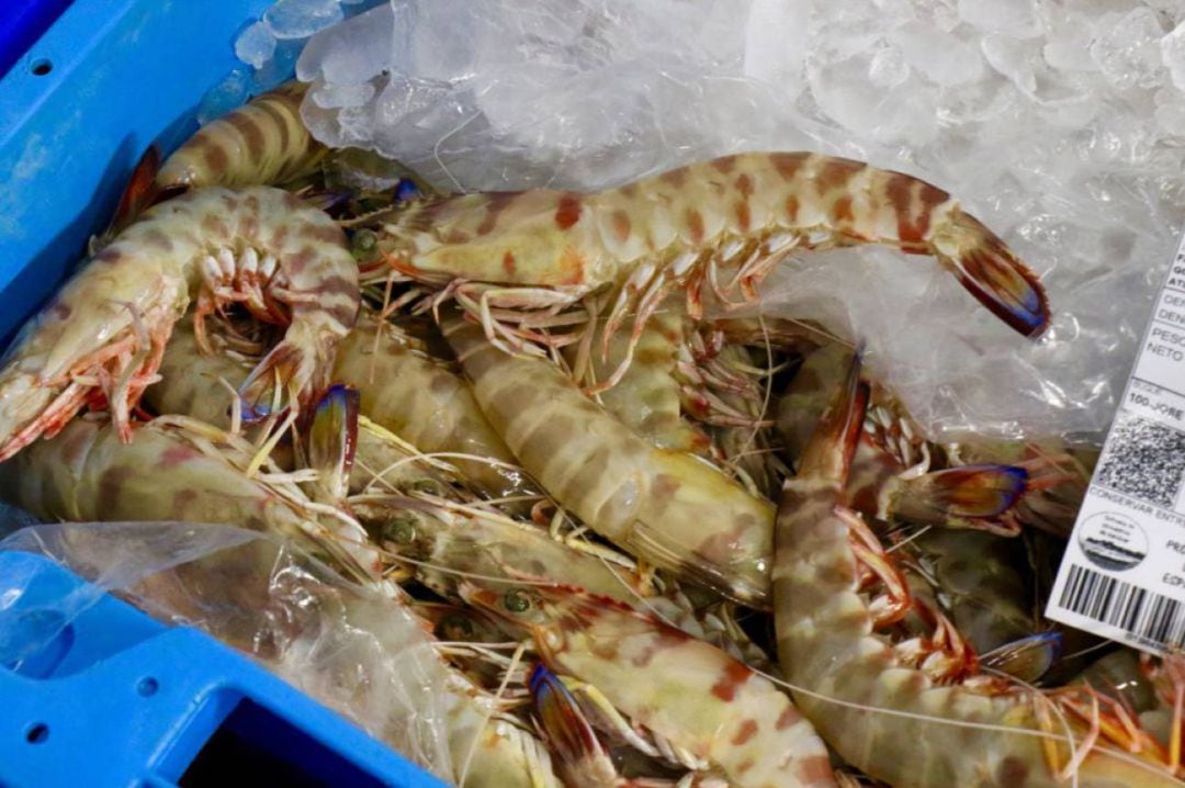 Langostinos de Sanlúcar de Barrameda