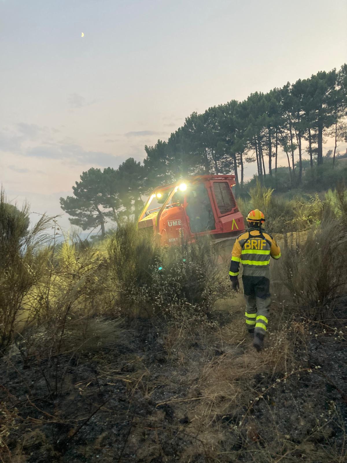 Incendio Valle del Tiétar (Ávila)./AT BRIF