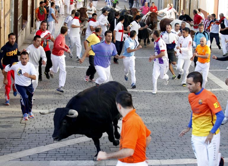 Encierro taurino