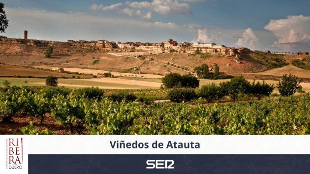 Bodegas Atauta