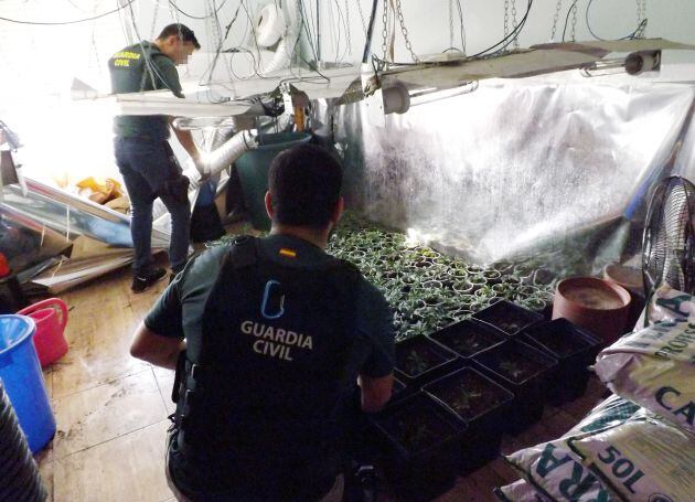 La Guardia Civil detiene en Cieza a un delincuente con armas blancas, de fuego y 200 plantas de marihuana