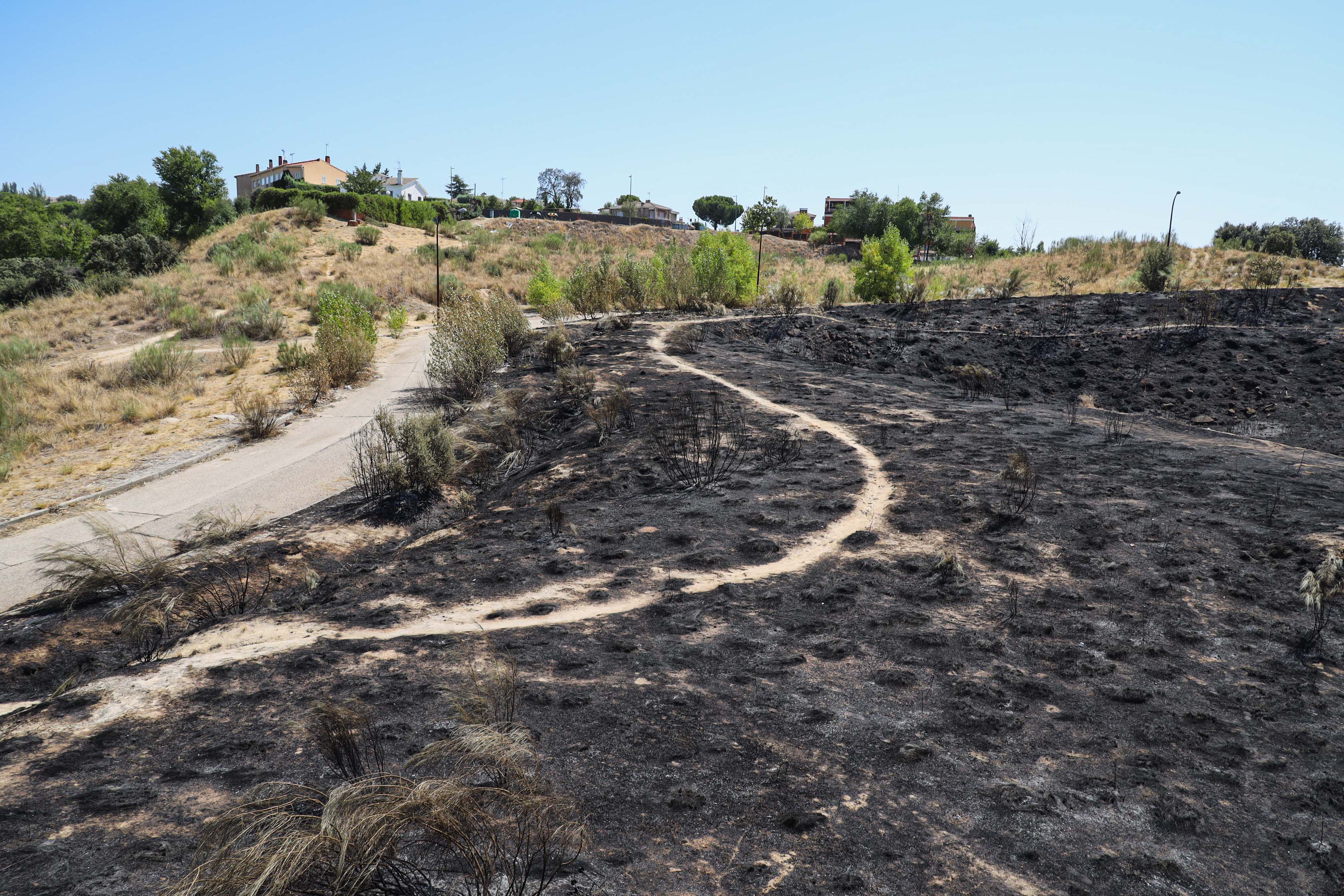 Incendio en Parque Coimbra-Guadarrama, 23 de agosto de 2023.