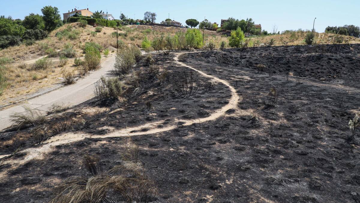 El Ayuntamiento de Móstoles trabaja en un nuevo plan integral de prevención de incendios