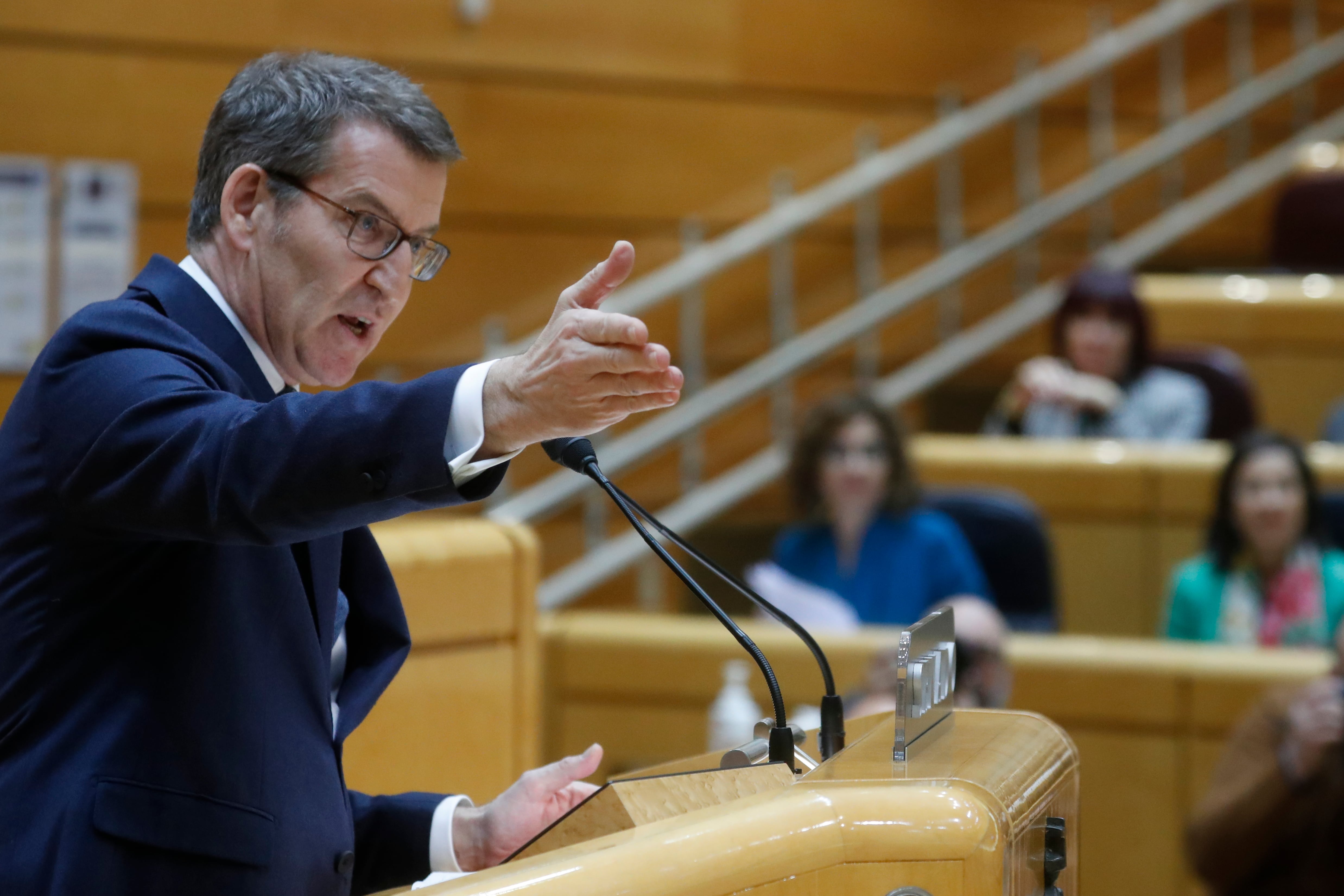 El líder del PP, Alberto Núñez Feijóo durante su intervención en el pleno del Senado