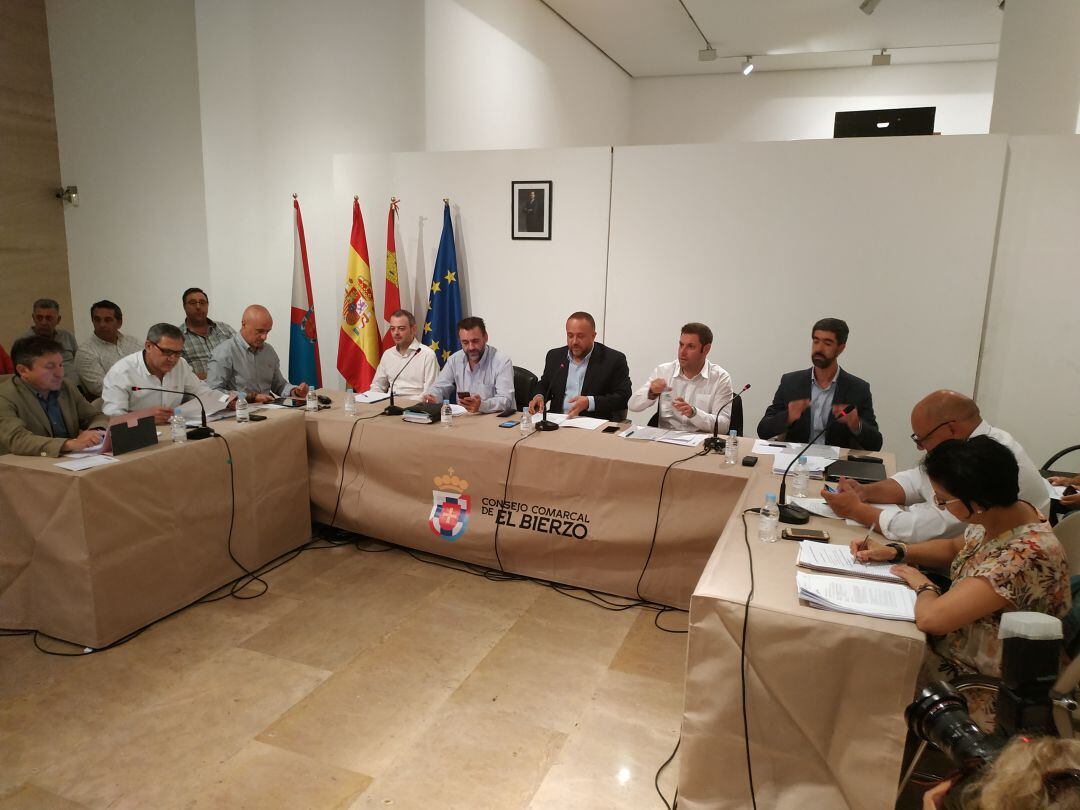 Pleno del Consejo del Bierzo