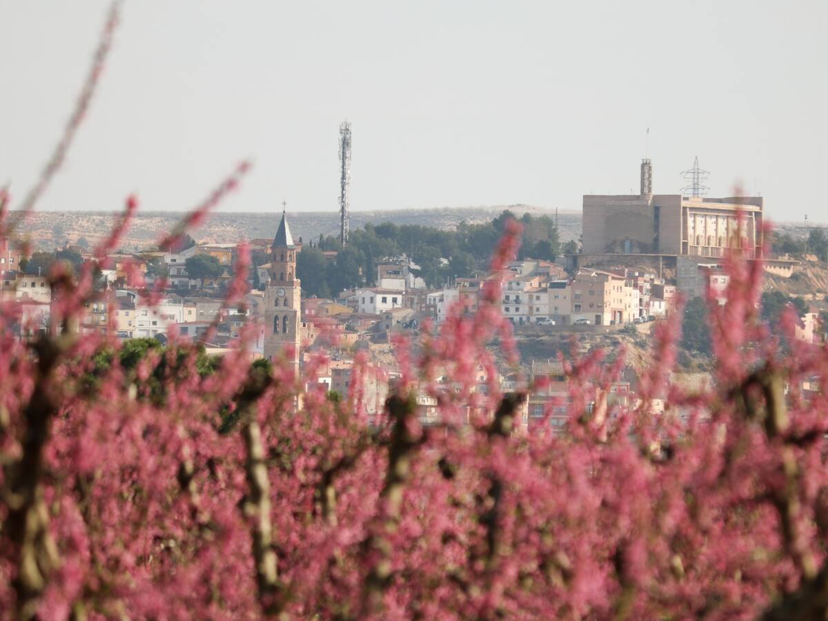 El Ayuntamiento de Fraga amplía las plazas para participar en la Ruta de la Floración