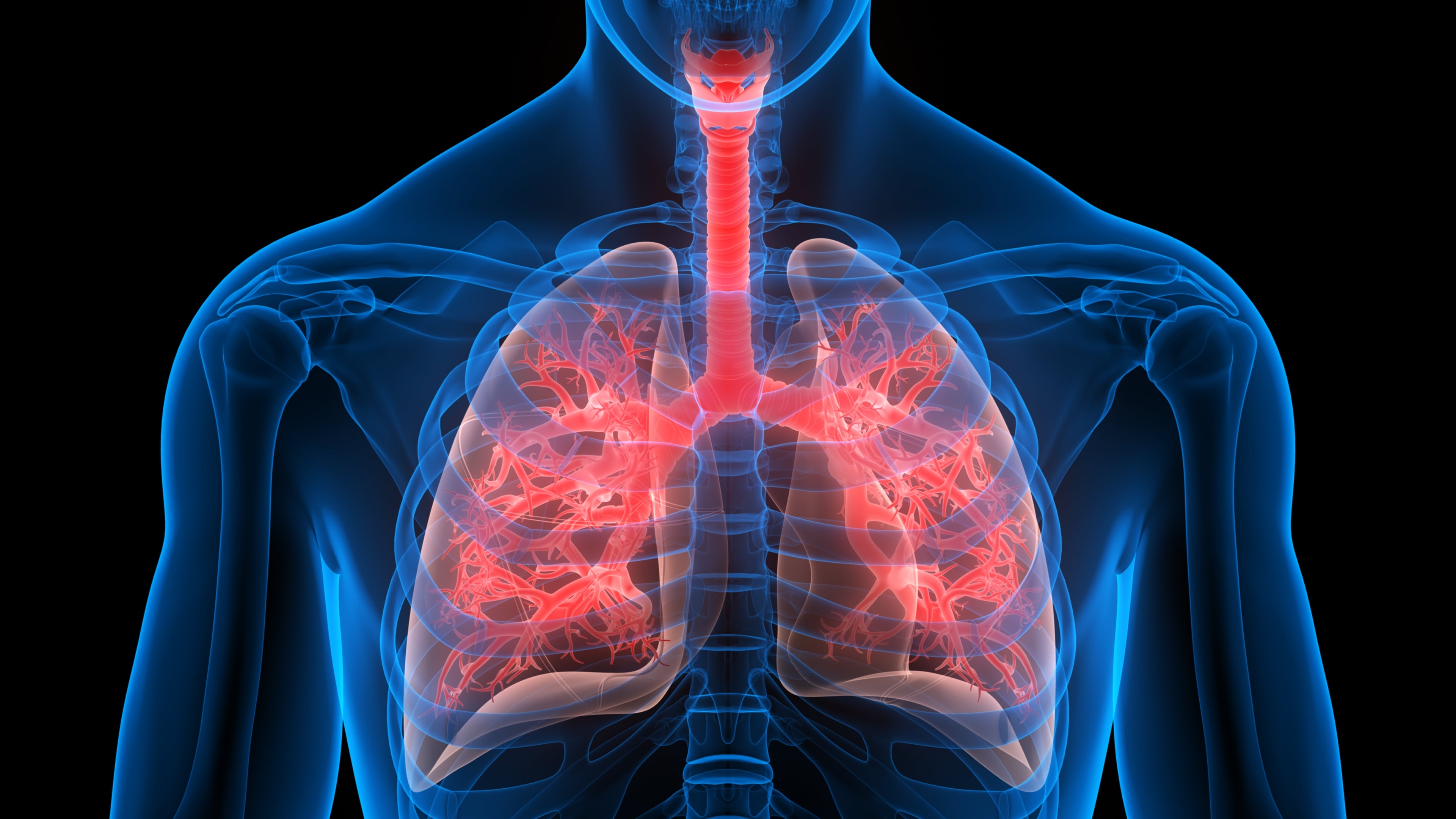 Representación del sistema respiratorio