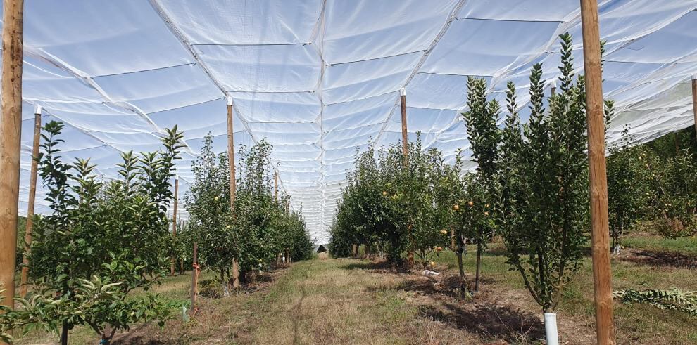 La inversión pública desde 2016 asciende a casi 30 millones de euros