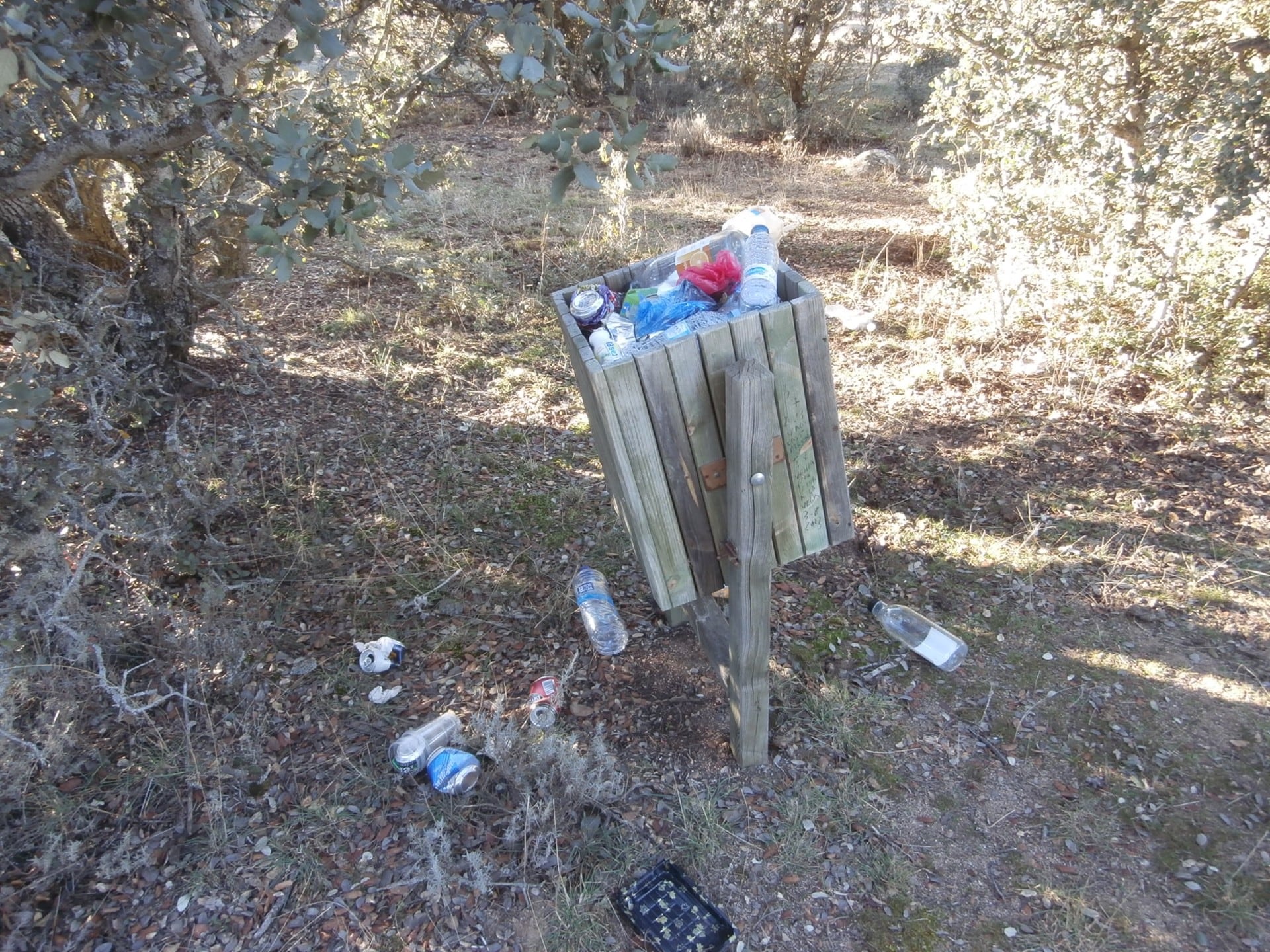 Papeleras sin recoger en la ruta de Campo Azálvaro