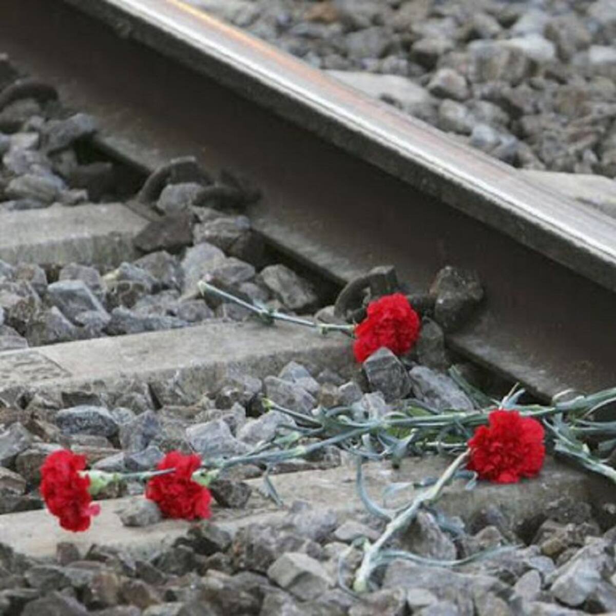 Los municipios del norte de Madrid convocan a la ciudadanía a los homenajes a las víctimas del 11M