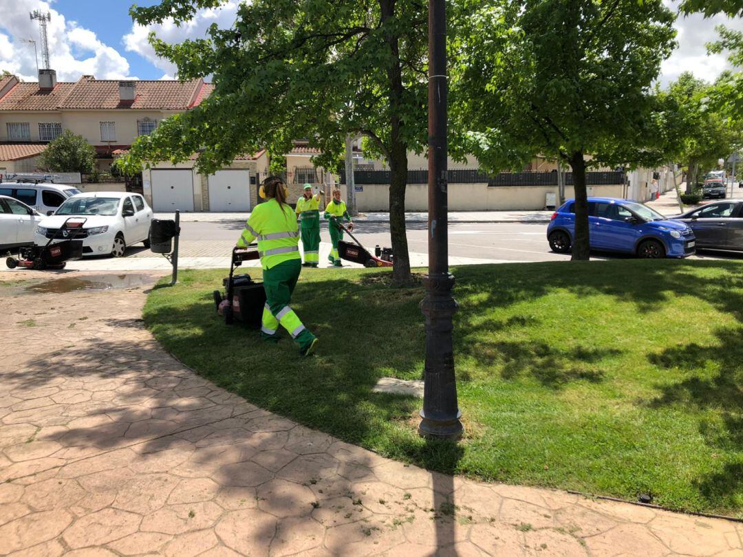 Trabajadores del servicio de manteniminento y conservación de zonas verdes de Arroyomolinos