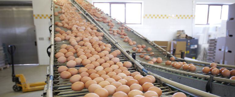 El incremento del precio de los huevos en la Guía del Consumidor con Jesús Soria.