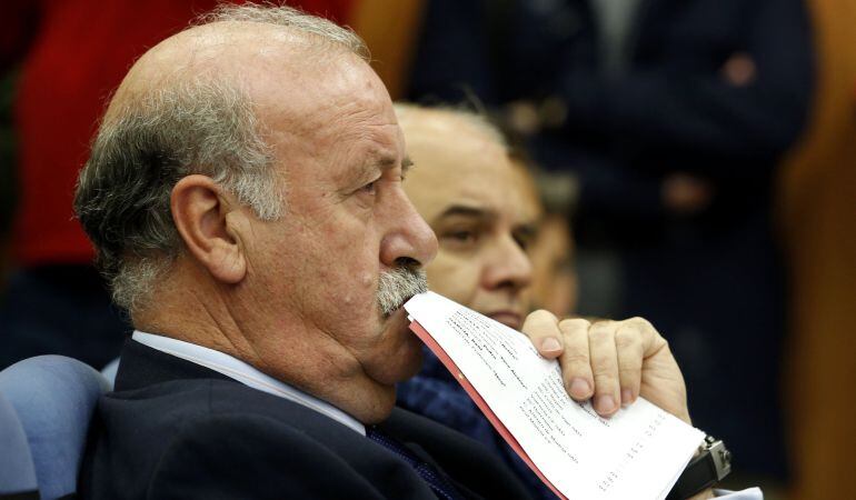 Del Bosque, seleccionador nacional