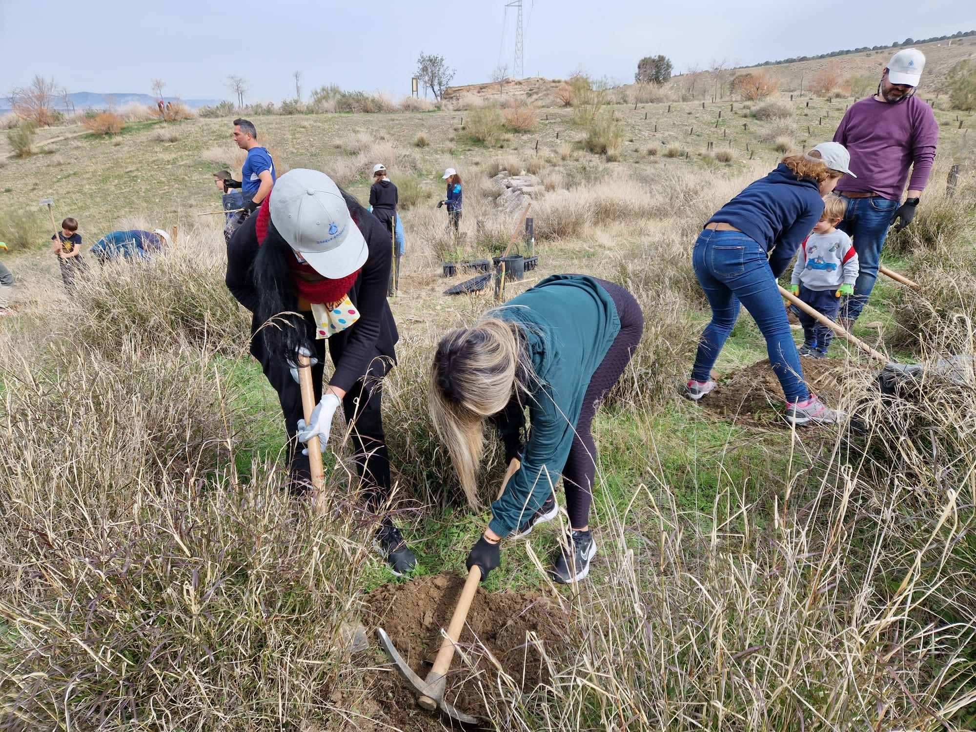 Plantación realizada por la Asociación &quot;Huella Verde&quot; (Granada)