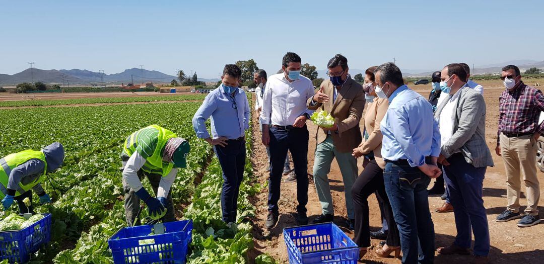 Productores hortofrutícolas de Murcia y Almería piden estabilidad en el Trasvase Tajo-Segura 