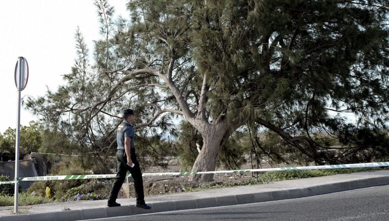 Espacio acordonado por la Guardia Civil del lugar donde han sido hallados restos óseos que se cree pueden pertenecer a Yeremi Vargas