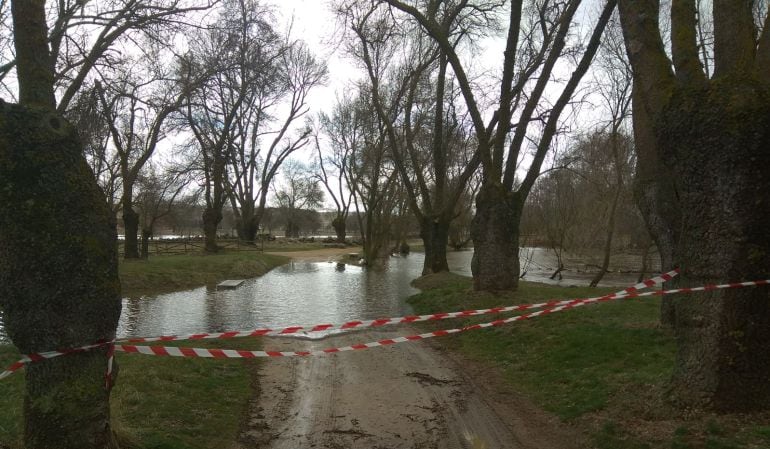 El Adaja ha crecido a su paso por El Soto
