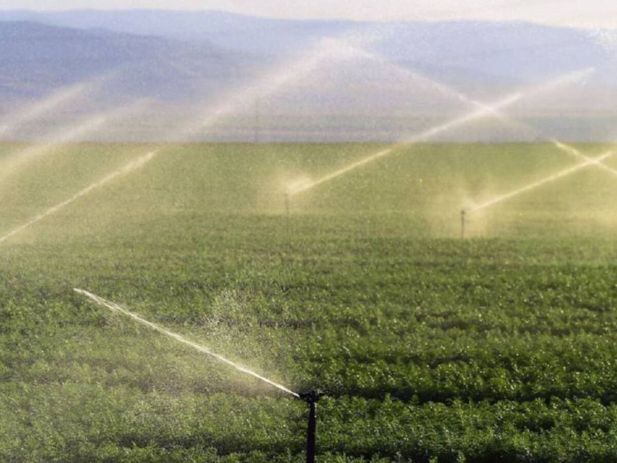 El campo celebra a distancia San Isidro