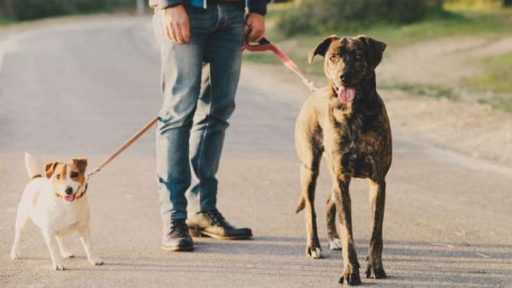 Entrevista con la Presidenta de APA Rioja