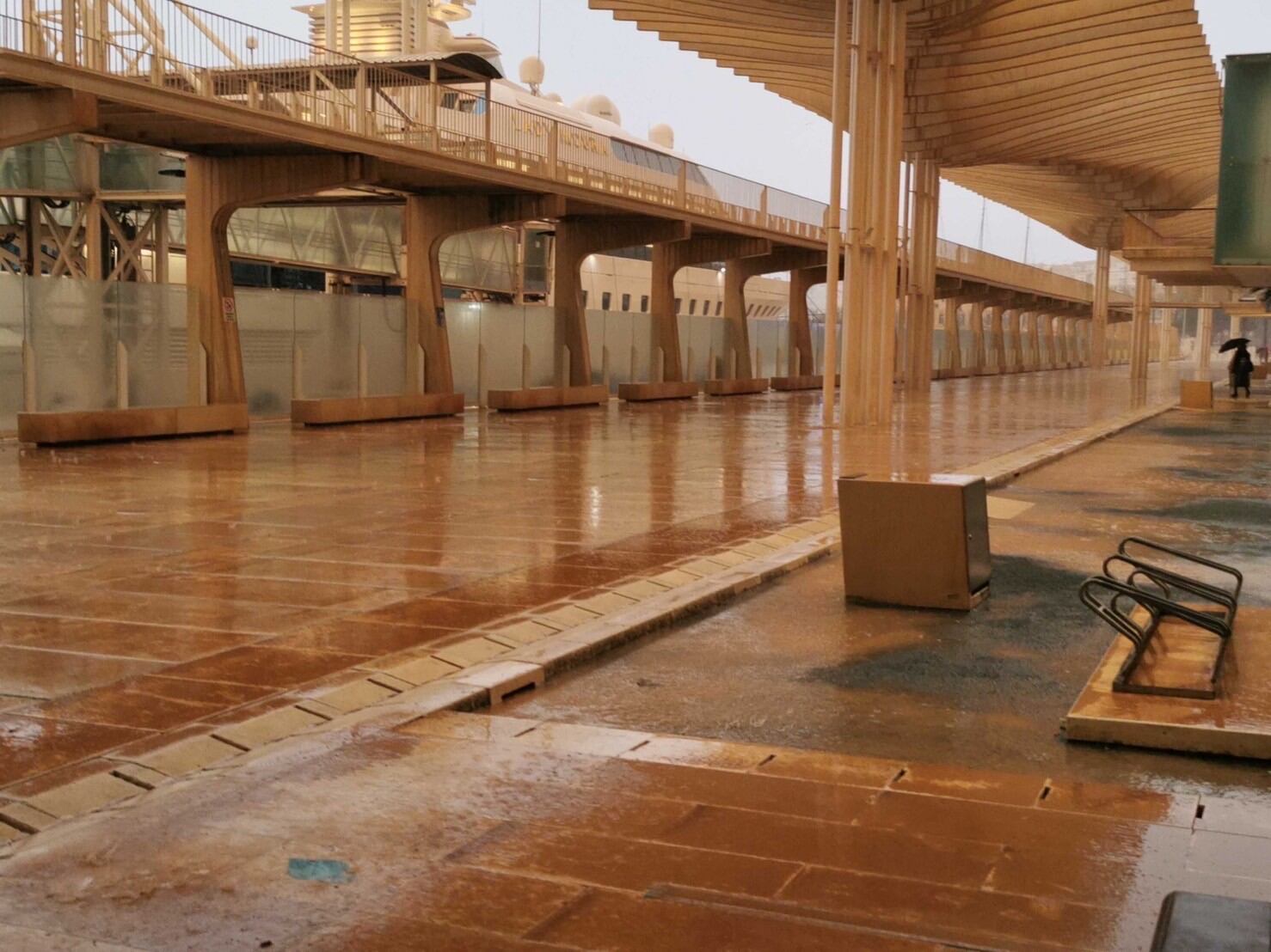 Situación del Palmeral de las Sorpresas este viernes