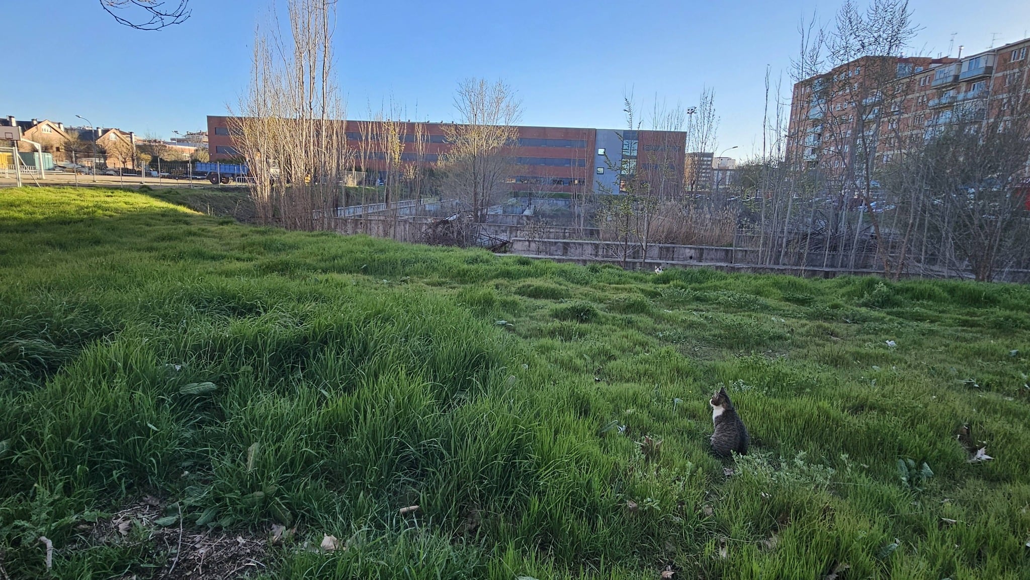 Estado de la parcela