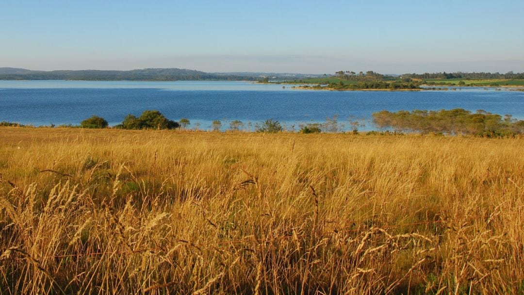 Embalse da Fervenza.