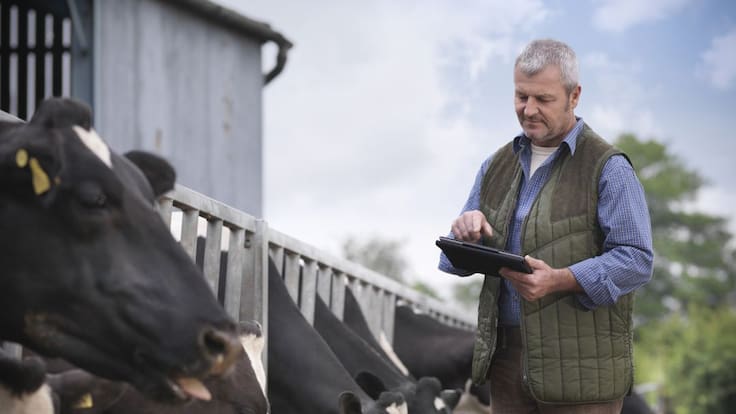 Tudder, el tinder del mundo animal