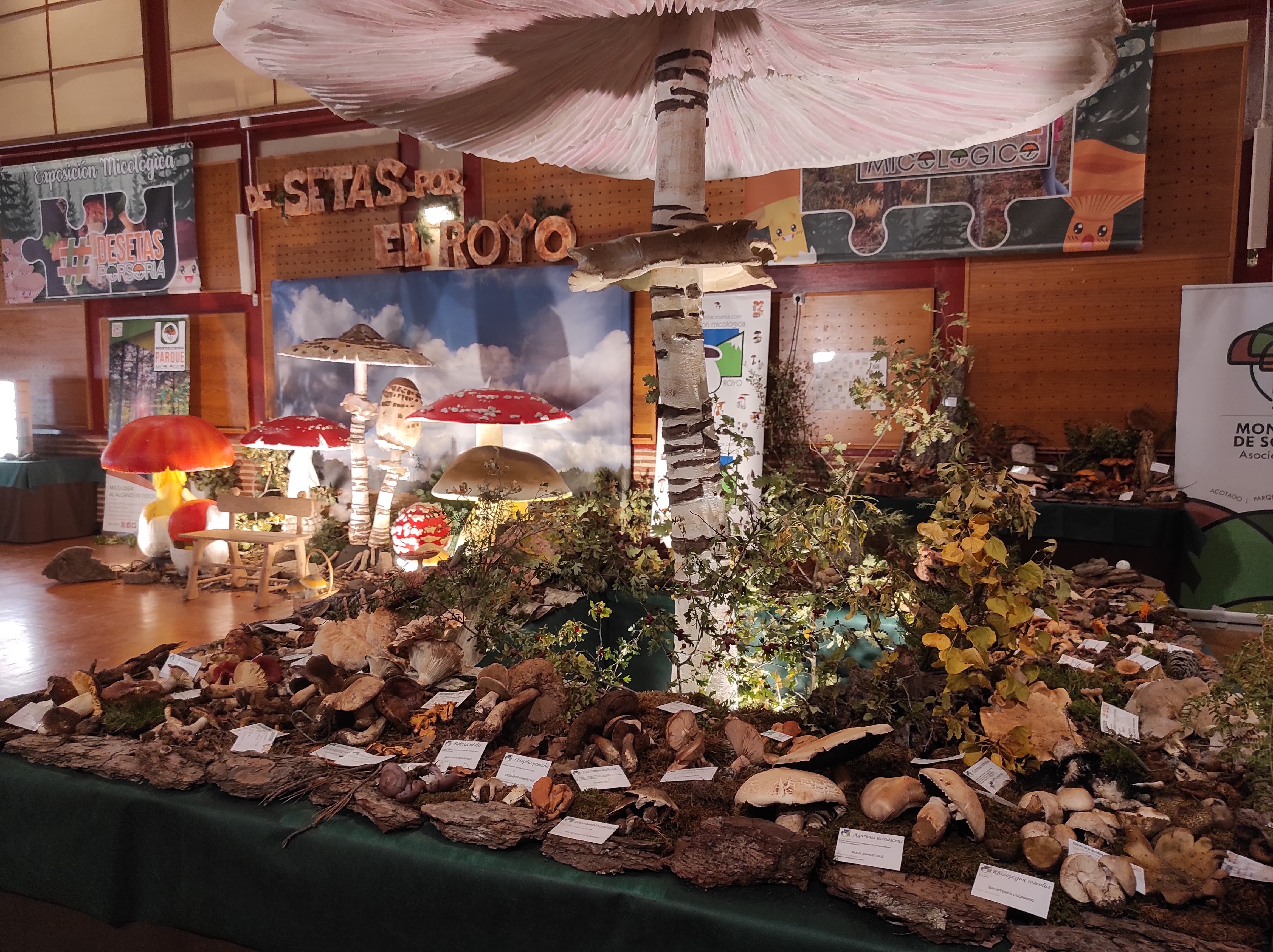 Exposición Montes de Soria.