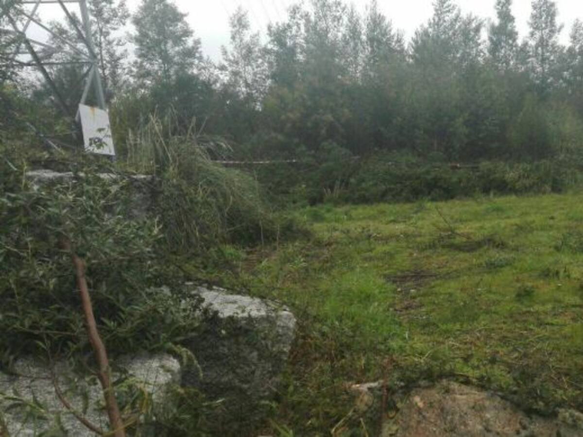 Medio Rural insiste en que hay que limpiar las fincas y los montes