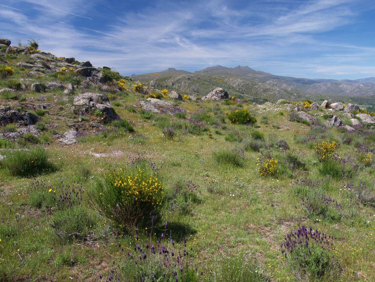 Vista panorámica de las sierras de la Paramera y Serrota, una zona de la provincia de indudable valor ecológico