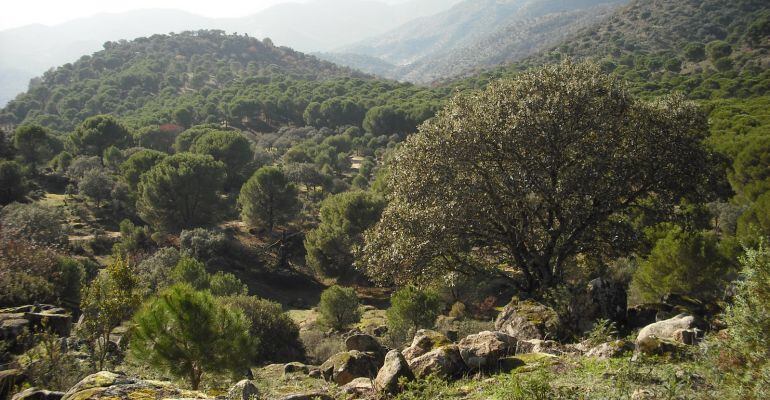 Sierra de Andújar.