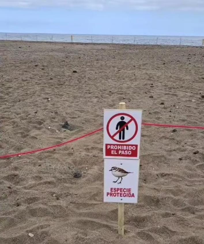 Señales prohibiendo el acceso a parte de la arena de Playa Honda.