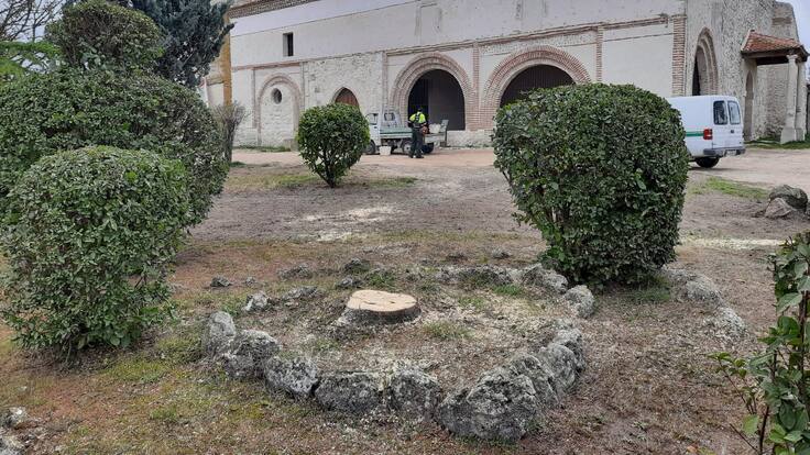 Tomás Marcos, concejal de Medio Ambiente, habla del programa del ECyL que permitirá mejorar los jardines de la iglesia de La Cuesta en Cuéllar