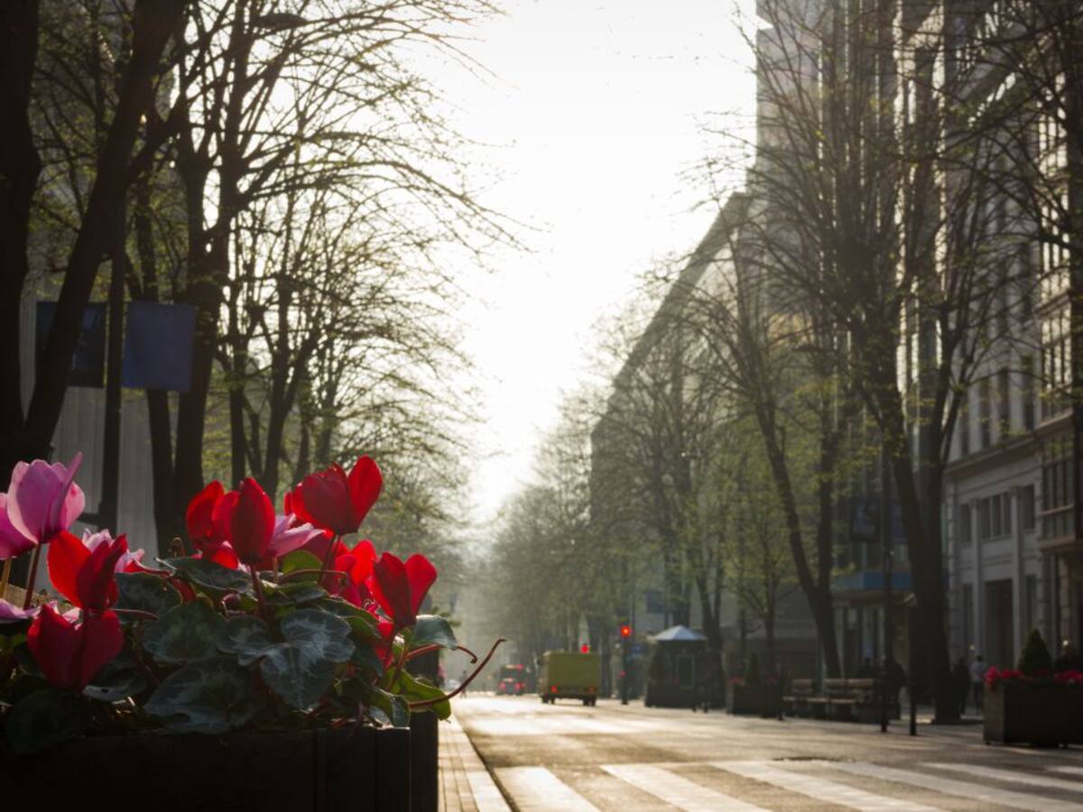 "El vehículo va a ser el cigarro del futuro"