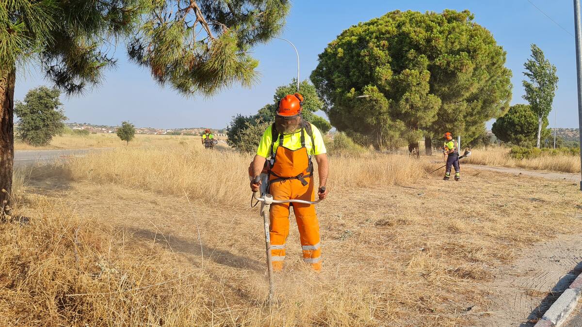 Sergio de la Llave comenta la ampliación del plan de desbroces