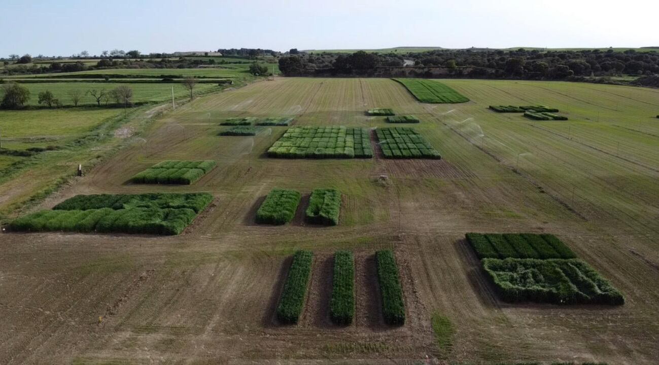 Ensayos preparados para la Jornada Cultiva en unos terrenos próximos al polígono Valle del Cinca de Barbastro.