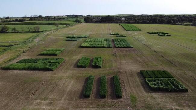 Ensayos preparados para la Jornada Cultiva en unos terrenos próximos al polígono Valle del Cinca de Barbastro.
